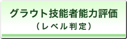 技能者能力評価（レベル判定）