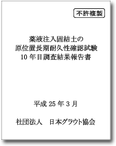 「原位置長期耐久性確認試験１０年目の報告書」